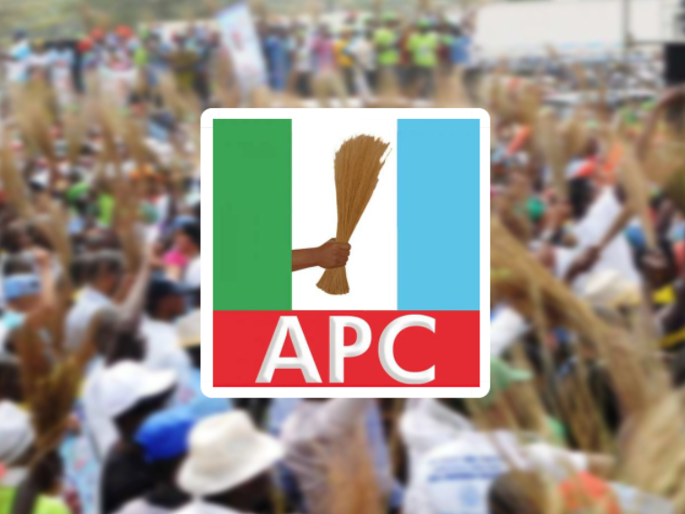 APC's National Assembly Representation