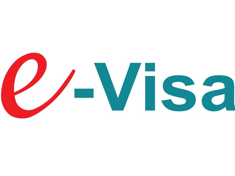 E-Visa System