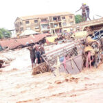 Niger Flood