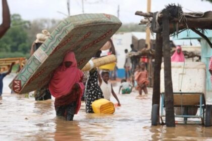 IDPs