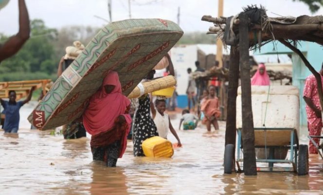 IDPs