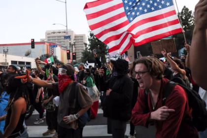 I.C.E triples daily arrests