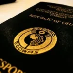 Halt citizenship for African